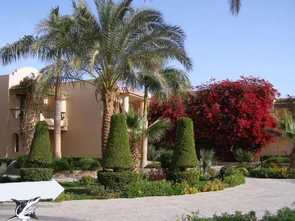 Why many Westgate Resorts owners are dissatisfied with their investments